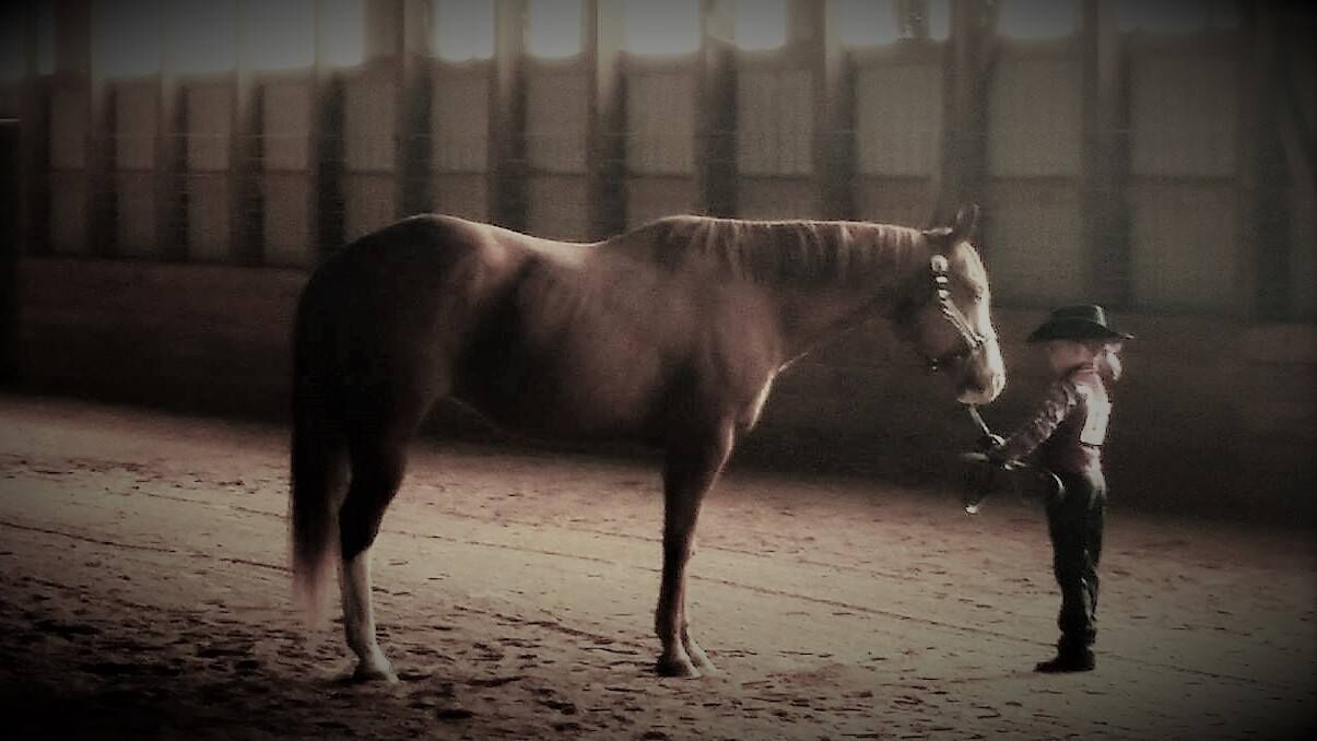 A small child in a cowboy hat standing face to face with a tall bay horse in an indoor arena