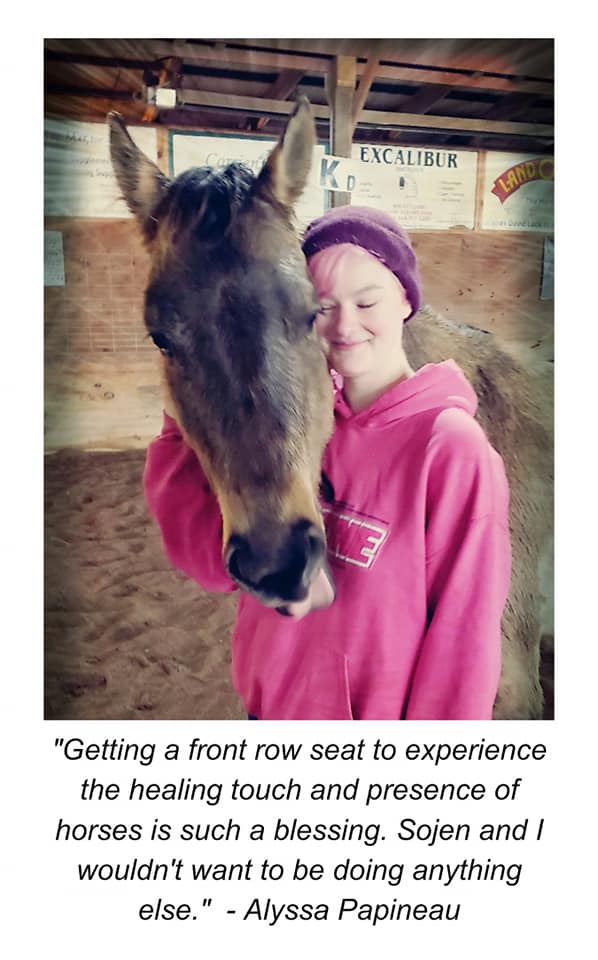 Heartland Heals Horse Therapy